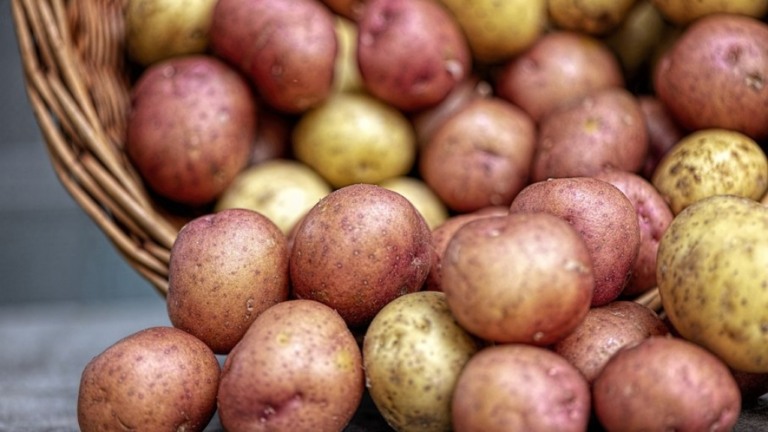 Alimentos impulsionam crescimento da inflação em janeiro