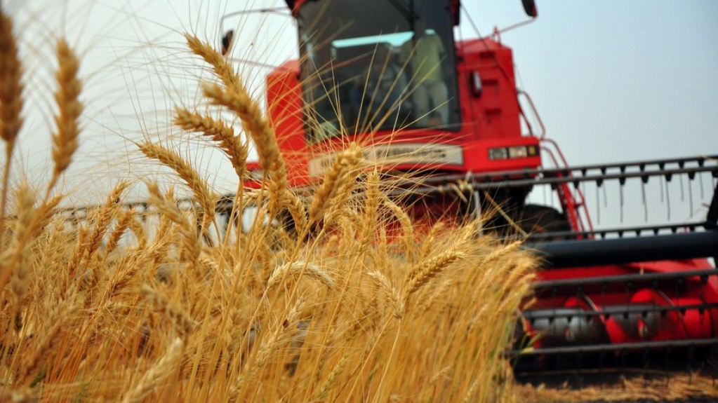 Conab lança plataforma de leilão para produtos, serviços e insumos agropecuários