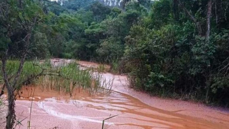 MG: vazamento de lama de mineradora invade estrada em Brumadinho após chuvas