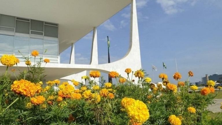 Presidência pretende gastar R$ 430 mil em flores nobres e árvores de Natal