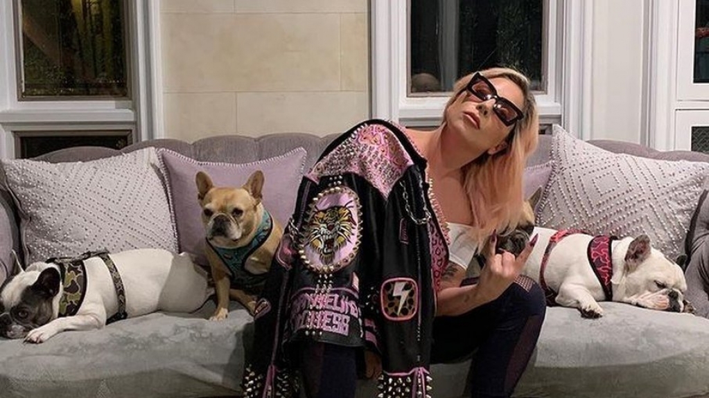 Lady Gaga se pronuncia após roubo dos seus dois cachorros