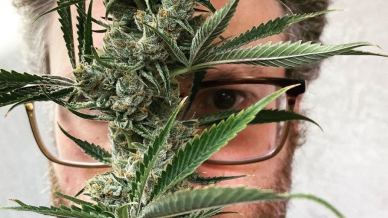 Ator de 'Rei Leão' lança empresa de maconha: 'Tenho trabalhado nela há 10 anos'