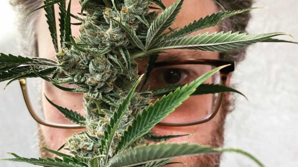 Ator de 'Rei Leão' lança empresa de maconha: 'Tenho trabalhado nela há 10 anos'