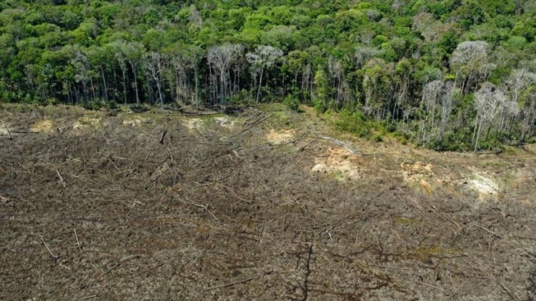 Mato Grosso reduz em 31,5% os alertas de desmatamento em seis meses