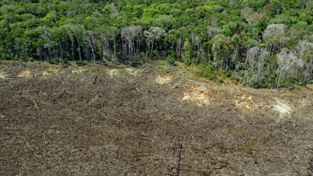 Mato Grosso reduz em 31,5% os alertas de desmatamento em seis meses