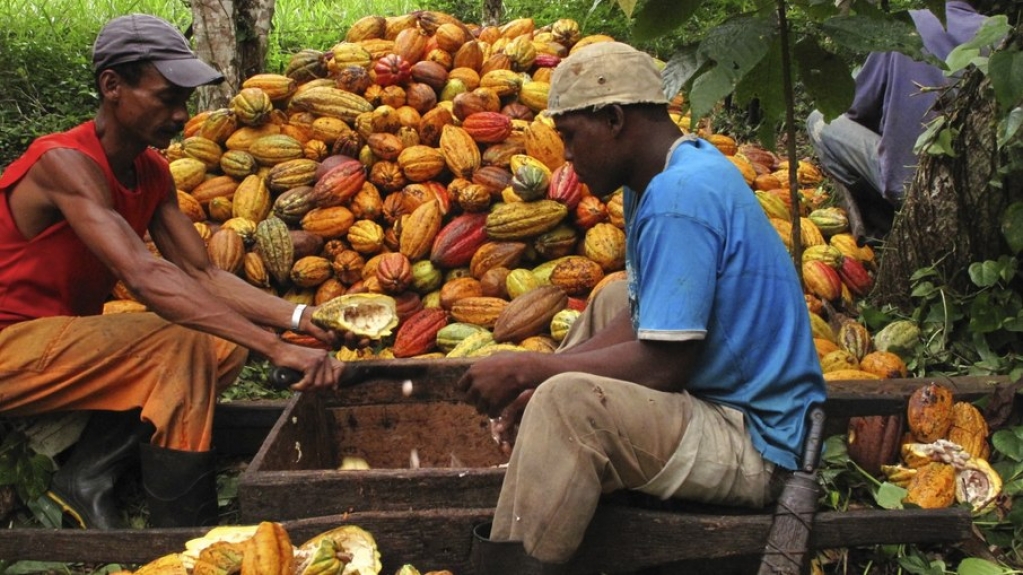 Indicação Geográfica agrega valor a produtos da biodiversidade no Norte do país