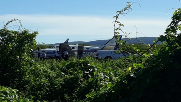 Na Bahia, avião que carregava doses da vacina da covid-19 se choca com jumento