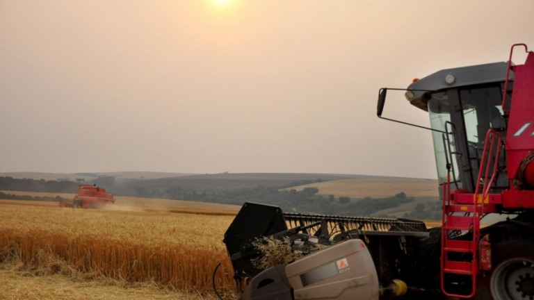Contratação de apólices de seguro rural mais do que dobrou em 2020