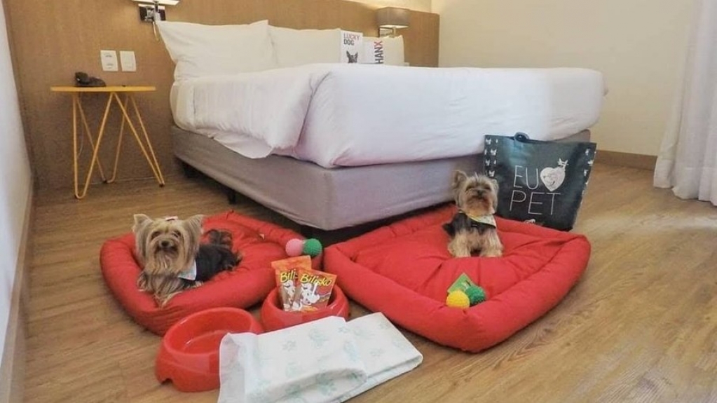 Hospedagem Pet Friendly: escolha um bom hotel para ficar com seu pet