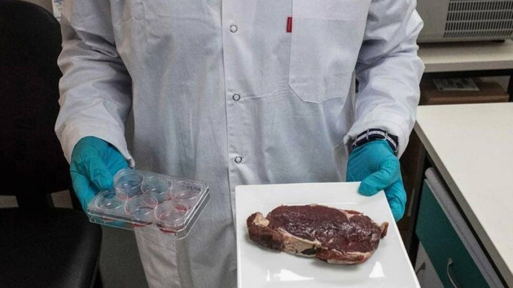 BRF, dona de Sadia e Perdigão, vai produzir bife de laboratório no Brasil