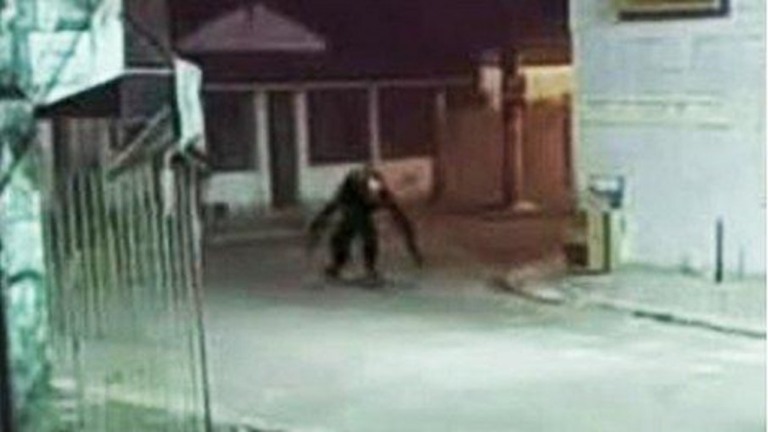 Boato de "criatura estranha" circulando pela Bahia assusta moradores