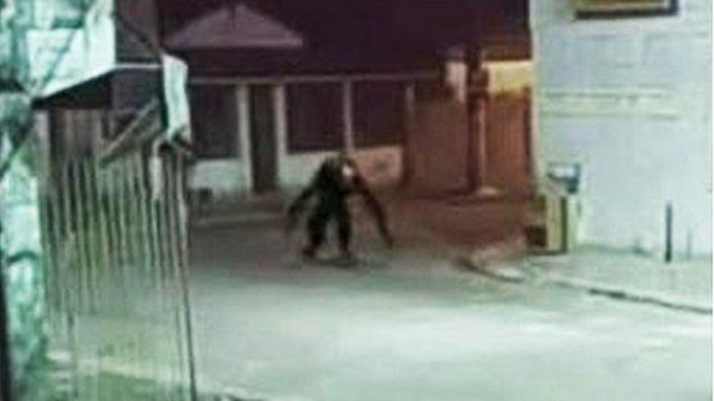 Boato de "criatura estranha" circulando pela Bahia assusta moradores Boato de "criatura estranha" circulando pela Bahia assusta moradores