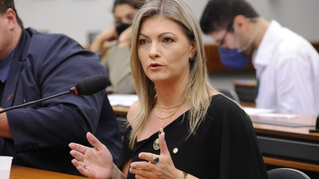 Comissão de Educação da Câmara pode ficar com deputados bolsonaristas Comissão de Educação da Câmara pode ficar com deputados bolsonaristas