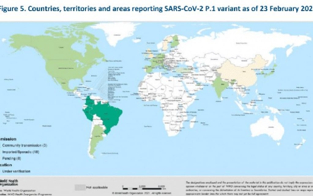 Covid-19: "Variante brasileira é uma ameaça mundial", diz jornal norte-americano