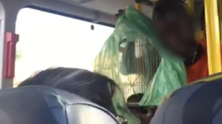 Homem usa rato para tentar assaltar ônibus: "Vou soltar meu amiguinho"; assista