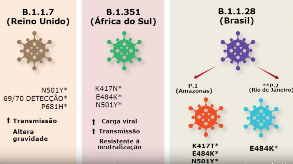 Pesquisa aponta eficácia da CoronaVac contra novas cepas do coronavírus