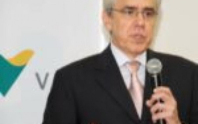 Vale (VALE3) pode ter Roberto Castello Branco integrando conselho