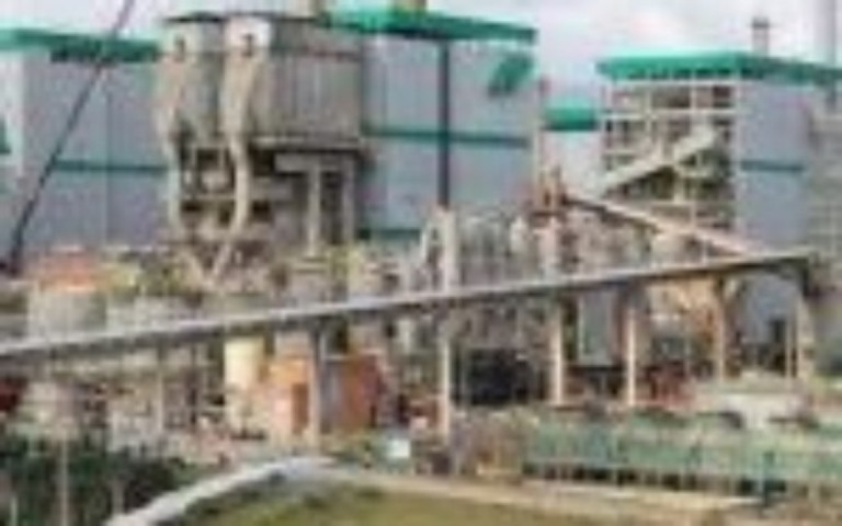 Klabin (KLBN11) conclui etapa de criação de SPE para exploração de florestas em SC