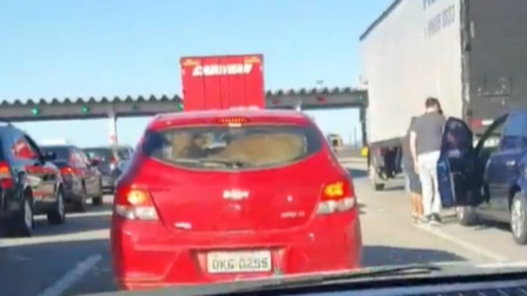 Vaca é flagrada dentro de porta-malas em rodovia de SC; assista