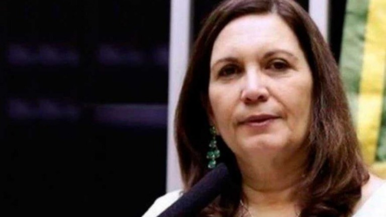 Reforma administrativa será concluída em uma semana, diz presidenta do CCJ