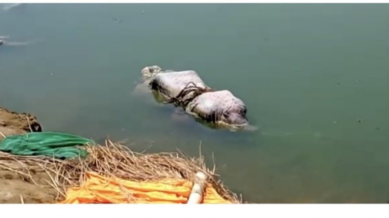 Corpos de possíveis vítimas da Covid-19 aparecem às margens do Ganges, na Índia