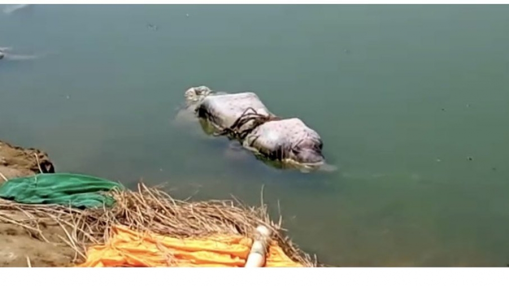 Corpos de possíveis vítimas da Covid-19 aparecem às margens do Ganges, na Índia