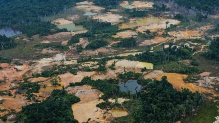 Confronto em terra Yanomami deixa garimpeiros e indígenas baleados