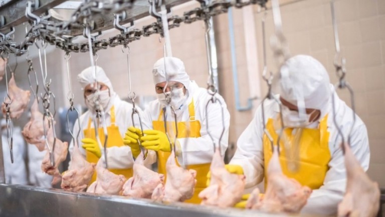 Brasil irá à OMC contra restrições de exportações de aves para Arábia Saudita