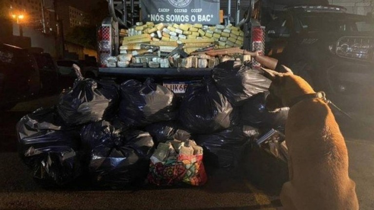 Cadela ajuda PM a encontrar uma tonelada de drogas no Jacarezinho