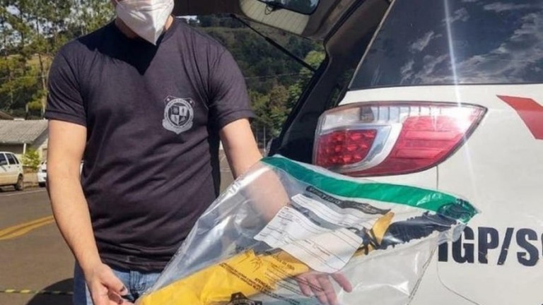 Covardia fez assassino escolher bebês para ataque em creche de Santa Catarina
