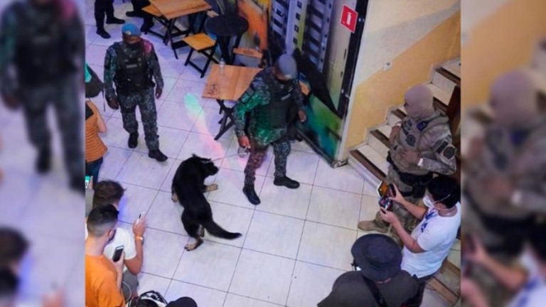 SP: Comitê de blitze encerra festas clandestinas e autua 17 pessoas em flagrante