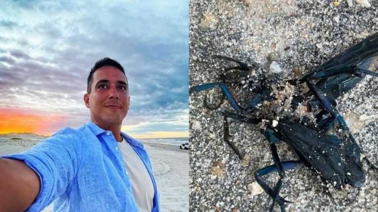 André Marques é picado por vespa-do-cão nas gravações de "No Limite"