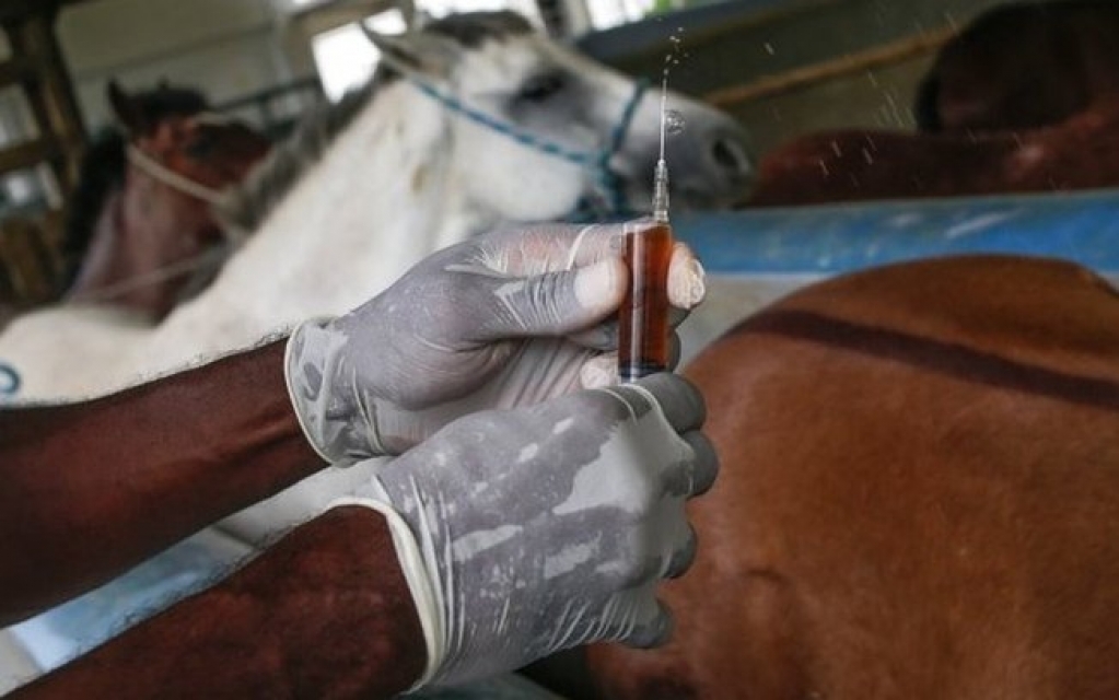 Covid: o que se sabe sobre o soro desenvolvido e em fase de testes pelo Butantan