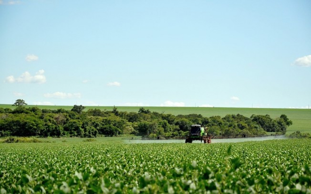 Agrotóxicos podem aumentar vulnerabilidade à Covid-19, diz relatório inédito