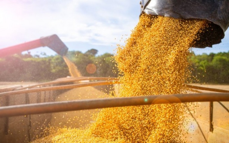 PIB: Por que a economia surpreendeu no 1º tri, mesmo com piora da pandemia