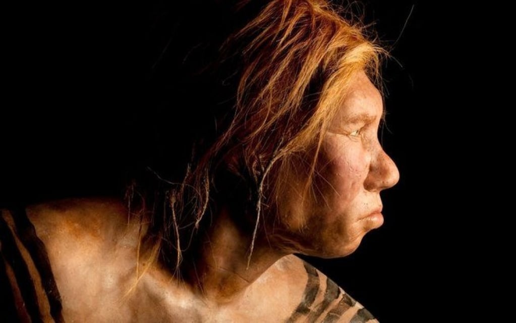 Como herança genética neandertal influencia resposta imunológica ao coronavírus