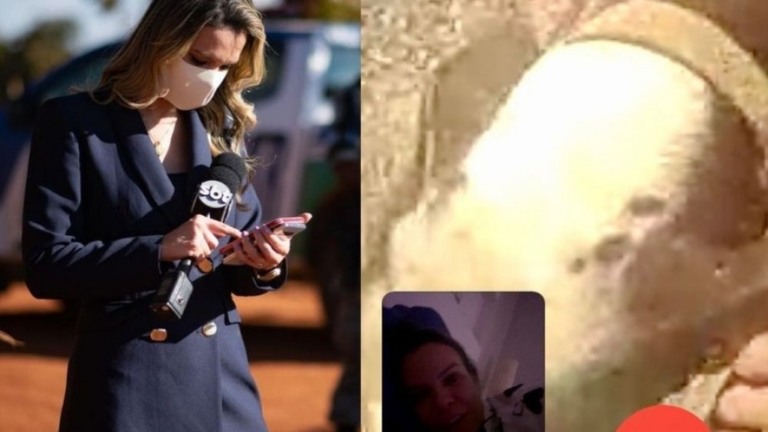 Repórter é mordida por cachorro na cobertura do caso Lázaro Barbosa