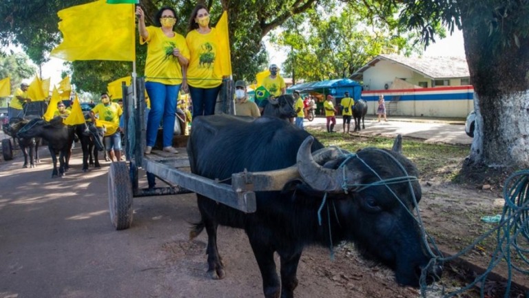 Damares Alves participa de 'bufalociata' na Ilha de Marajó, no Pará