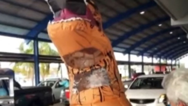VÍDEO: Homem toma vacina contra Covid fantasiado de 'Bucicassauro' em SC
