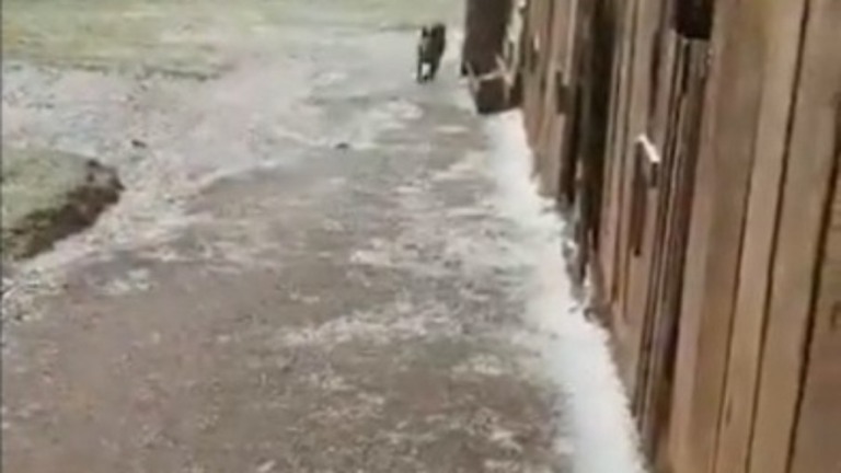 Internautas registram neve em cidades do RS