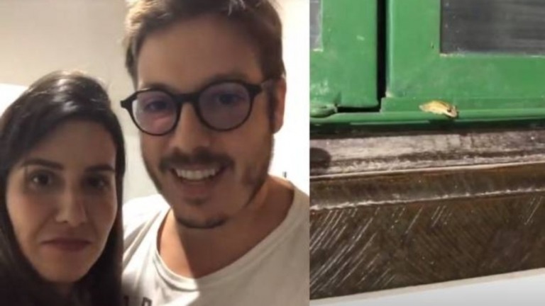 Fabio Porchat mostra "invasão" de pererecas em banheiro de hotel no Pantanal
