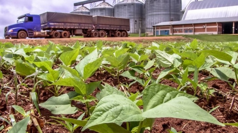 TCU alerta falta de transparência no registro de agrotóxicos no Brasil
