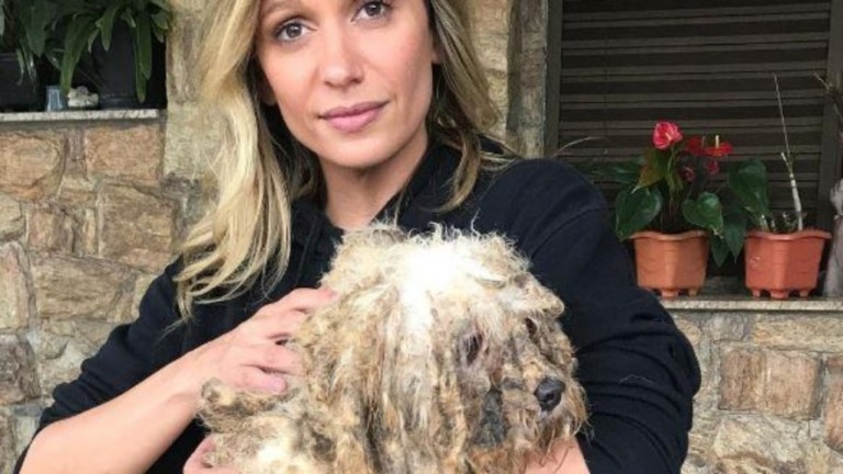 Luisa Mell desabafa sobre violência médica e diz: "Só penso em morrer"