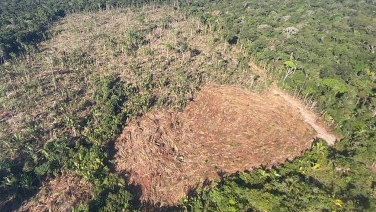 Governo vai oferecer crédito para produtos que preservam meio ambiente
