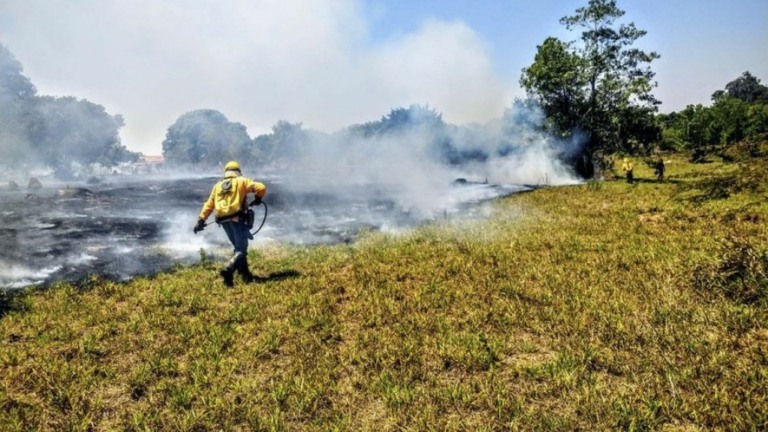 Governo federal atrasa divulgação de 930 bases de dados públicos