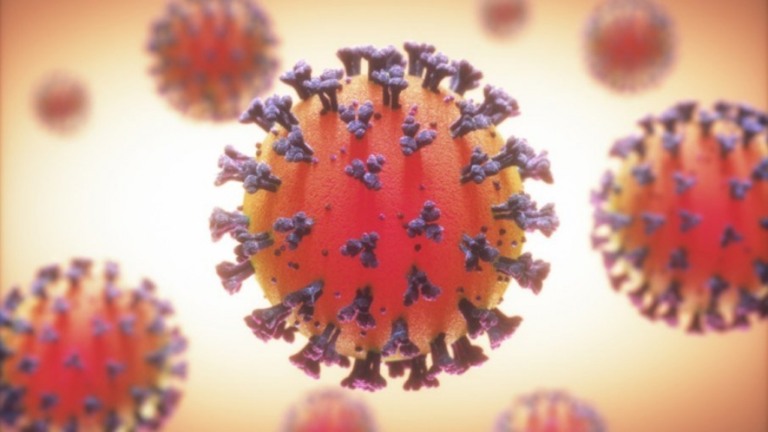 Covid-19: USP apresenta proposta de vacina de spray para a Anvisa
