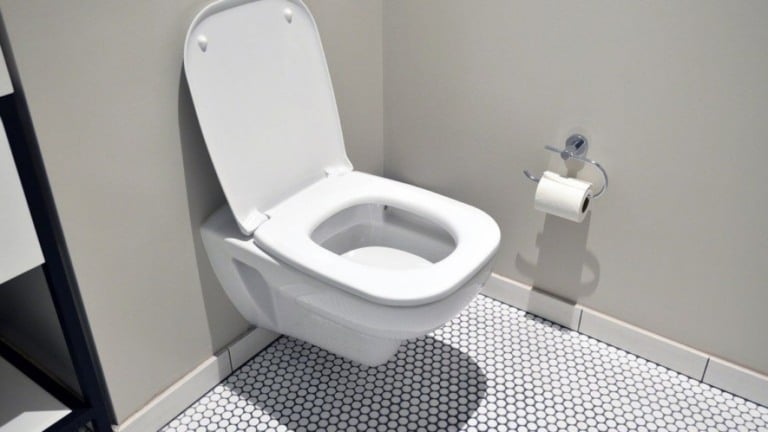 Tecnologia em vaso sanitário pode detectar doenças por "biometria do ânus"