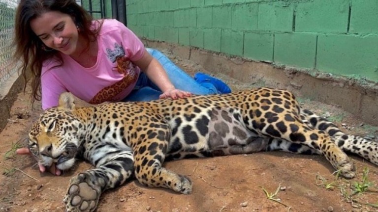 Luma de Oliveira adota uma onça em Goiás: "Engrandecedor"