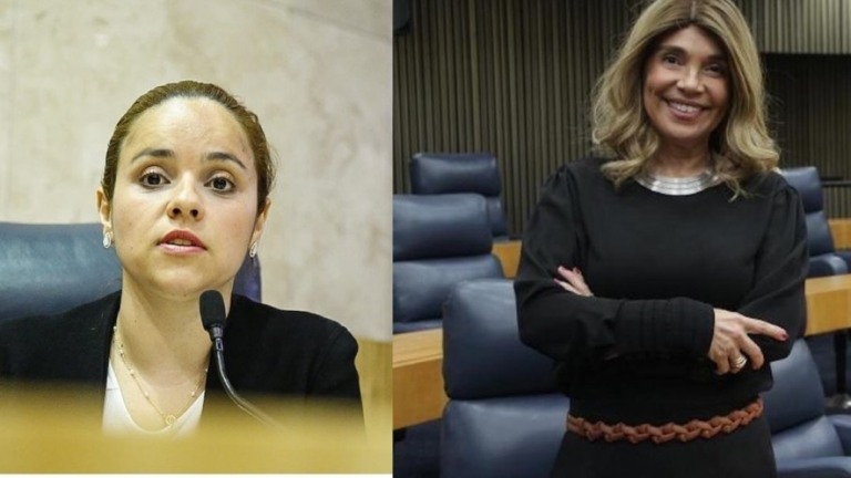 Vereadora diz ter sido enforcada por colega de partido após discussão na Câmara