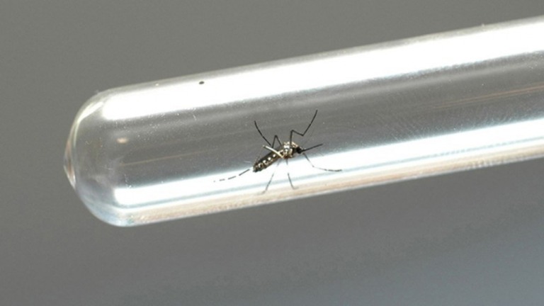 Capital recebe aerobarco e 30 novos veículos para combate à dengue